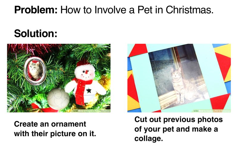 The problem "How to Involve a Pet in Christmas" with two illustrated steps: an ornament with the pet's picture, and a photo collage.
